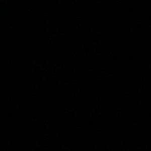 Meet your Posher, Liza